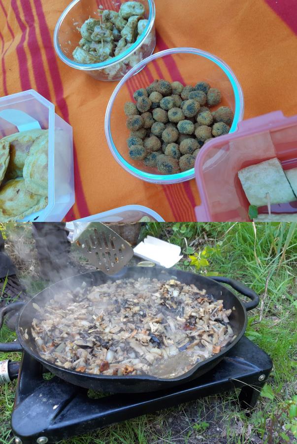 Picknick