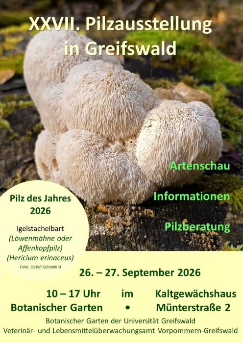Plakat 2026